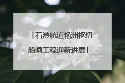 石澧航道艳洲枢纽船闸工程迎新进展